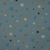 Soft Shell Fleece Fabric | Stars & Dots Dusty Mint