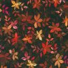 Robert Kaufman Fabric | Dreaming of Fall - 22626-191