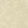 Robert Kaufman Fabric | Fusions - Extra Wide 21319-156