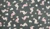 Super Soft Fleece | Toucan Rose