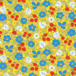 Robert Kaufman Fabric | Flowerhouse: Playful - 22294-242