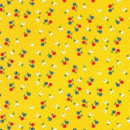 Robert Kaufman Fabric | Flowerhouse: Playful - 22297-242