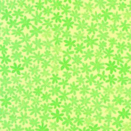 Robert Kaufman Fabric | Garden Lights 22562-137