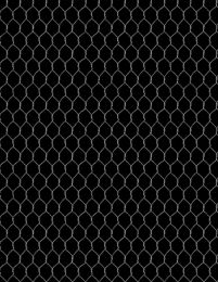 Proud Rooster Fabric | Chicken Wire Black